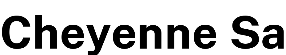 Cheyenne Sans Bold Font Download Free
